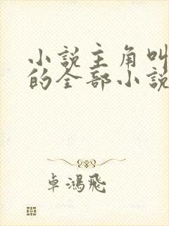 小说主角叫洛天的全部小说封面