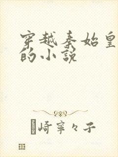 穿越秦始皇儿子的小说封面