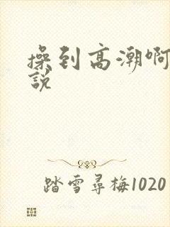 操到高潮啊啊小说封面