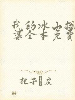 我的冰山总裁老婆全本免费阅读封面