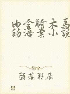 内含骑木马情节的海棠小说双男主封面