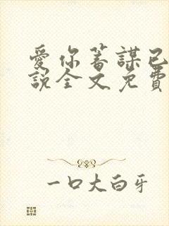 爱你蓄谋已久小说全文免费阅读