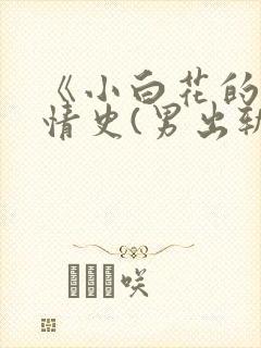 《小白花的淫欲情史(男出轨高h)》目录封面