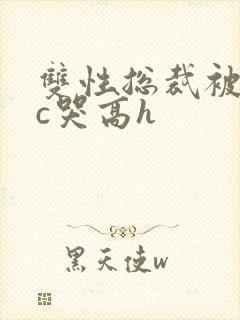 双性总裁被警察c哭高h