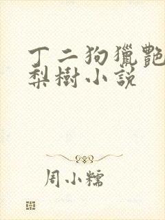丁二狗猎艳人生梨树小说