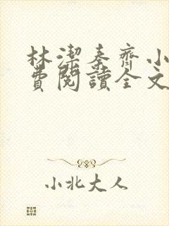 林洁秦齐小说免费阅读全文最新章节封面