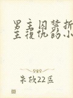 男主囚禁折磨女主复仇的小说