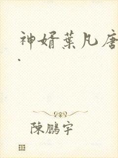 神婿叶凡唐若雪.封面