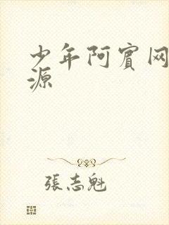 少年阿宾网盘资源