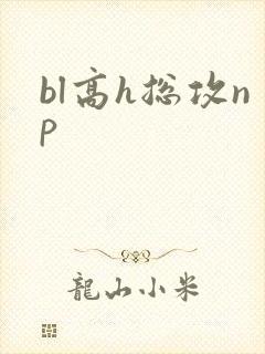 bl高h总攻np封面