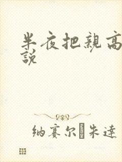 半夜把亲高潮小说