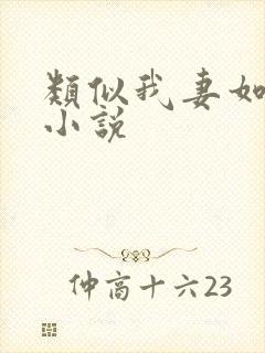 类似我妻如奴的小说