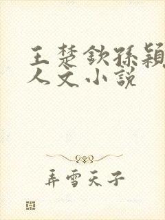 王楚钦孙颖莎同人文小说