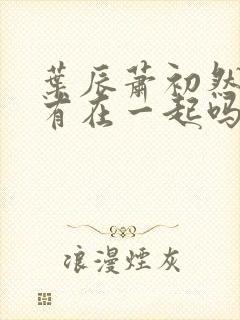 叶辰萧初然最后有在一起吗