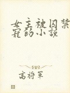 女主被囚禁当禁宠的小说