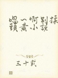 嗯～啊别揉我奶头黄小说封面