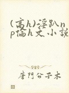 (高h)淫趴np伦h文小说