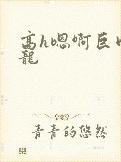 高h嗯啊巨肉双龙