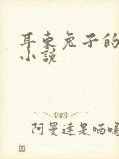 耳东兔子的最新小说封面