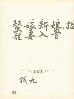 替嫁新娘,总裁宠妻入骨封面