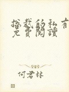 总裁的私有宝贝免费阅读