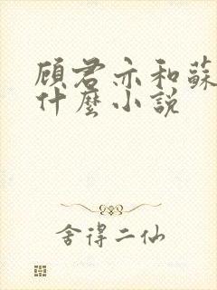 顾君亦和苏杳是什么小说