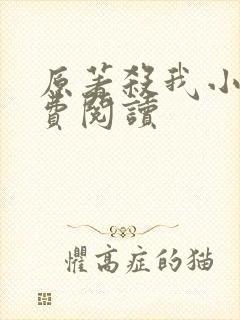 原著杀我小说免费阅读