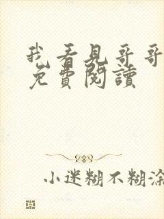 我看见哥哥小说免费阅读