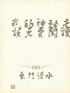 我的神秘老公小说免费阅读全文