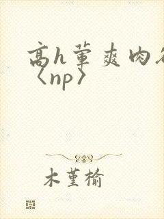 高h荤爽肉欲文〈np〉