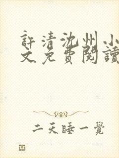 许清沈州小说全文免费阅读封面