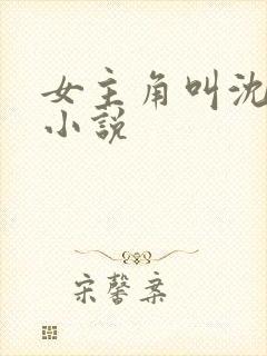 女主角叫沈柔的小说封面