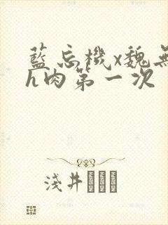 蓝忘机x魏无羡h肉第一次