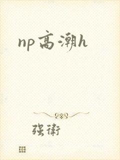 np高潮h