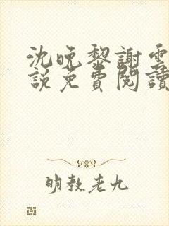 沈晚黎谢云迟小说免费阅读封面