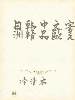 日韩中文字幕亚洲精品欧美