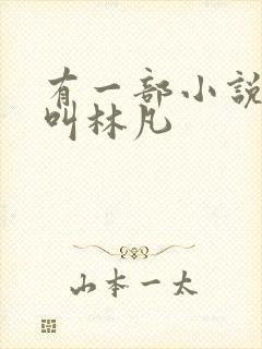 有一部小说主角叫林凡