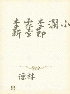 李霖李澜小说最新章节