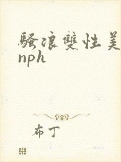 骚浪双性美人受nph