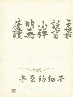 唐明小说免费阅读无弹窗最新章节下载