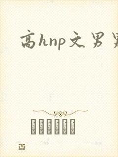 高hnp文男男
