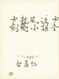 少龙风流少年龙剑飞小说全本