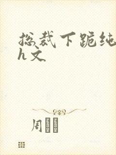 总裁下跪纯肉高h文封面