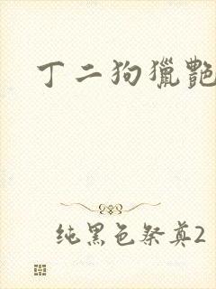 丁二狗猎艳人生