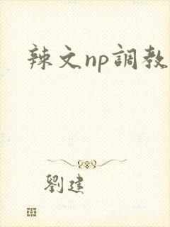 辣文np调教