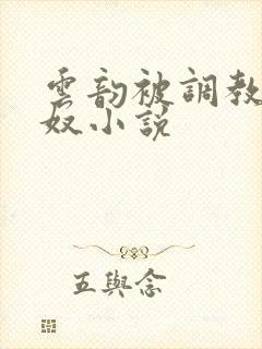 云韵被调教成肉奴小说