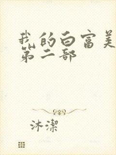 我的白富美老婆第二部封面