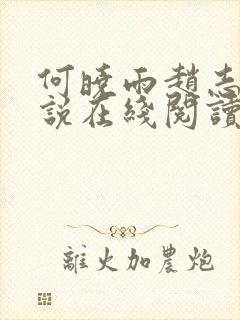 何晓雨赵志远小说在线阅读封面