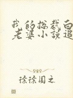 我的总裁白富美老婆小说追书封面