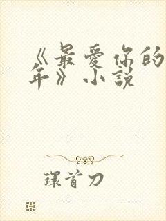 《最爱你的那十年》小说